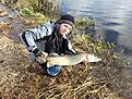 G�dda p� 4,7 kg. Tog p� en gr�n McMio