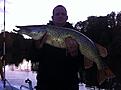 Grymt fiske 6kg g�ta �lv  8 oktober (2)