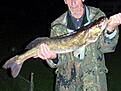 G�s 80cm 3,5kg
