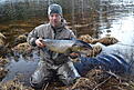 PB p� �ring, 7,71 kg.