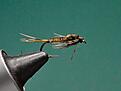 Dagsl�nde nymf - Pheasant tail