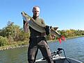 Musky 49tum. F�ngad i Lake of the woods