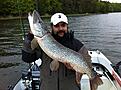 6,5 kilo p� 5cm shad och 0,09 lina utan tafs....