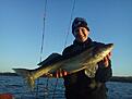 G�s p� 4450 gram 
Givetvis Catch and release