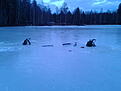 f�rsta pimpelpasset 2013 3 februari !