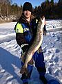 114 cm f�gelm�rdare!