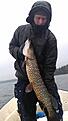 4,6kg   92cm