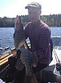 IMG 6531