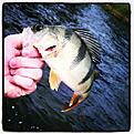 IMG 20130110 115334