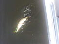 20130516 133208