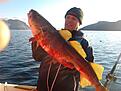 Hammerfest, Torsk 10,5 kg