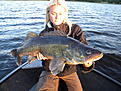 PB, 86cm, 6kilo! Tog p� Westin TwinTeez 8" Invisible Blue.