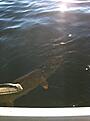 IMG 3012