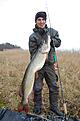 Vinnare av Novemberg�ddan 2012.
117 cm 10,22 Kg
Tagen p� Caesar tail
