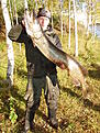 13.2 125cm  C&R

Om ni undrar p� �gat s� s�g det ut s�d�r, de s�g j�tte konstigt ut.