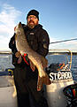 king of m�laren 2013
111 cm
