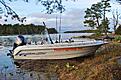 www.fishingday.se
