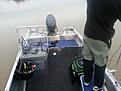 Min tidigare b�t. Linder 460 Arkip, Yamaha F50