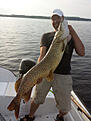 2014-07-07 kl 19:40
Mitt PB p� g�dda. 127cm / 13,5kg
Slog till mot en slug-go 19cm vid ett vertikalpass efter pelagisk g�s!