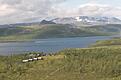 flugfiske