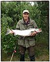 Lax i �lvkarleby 2014, 8.9 kg