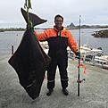 H�lleflundra p� 184cm och 85kg. Oskar Hansson drog upp dr�mfisken vid R�st.