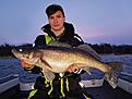 G�s 6520g