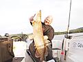 IMG 0447