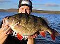 2,5 kg
